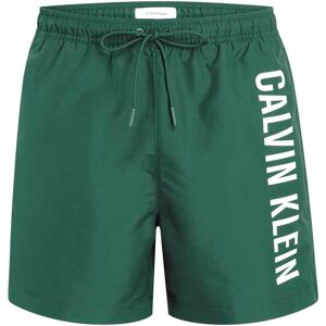 Calvin Klein Intense Power Medium Drawstring Swimming Shorts Wild Green L Men