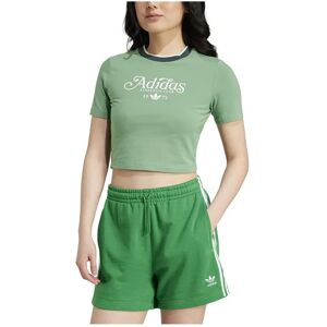 adidas Originals Baby Graphic Short Sleeve Top Preloved Green XS Women adidas Originals Baby Graphic Short Sleeve Top Preloved Green XS Women