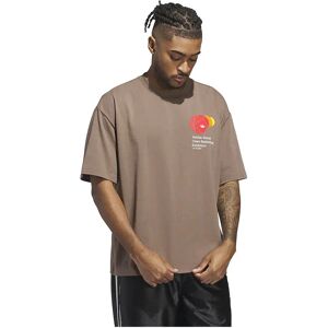 adidas Originals Q3 Graphic Short Sleeve T-shirt Earth Strata XL Men,Women adidas Originals Q3 Graphic Short Sleeve T-shirt Earth Strata XL Men,Women