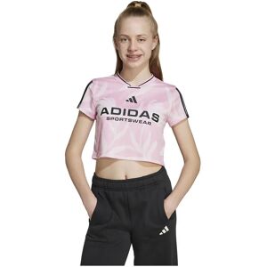 adidas House Of Tiro Colors Of Football Crop Short Sleeve T-shirt True Pink / Black 7-8 Years Boys,Girls adidas House Of Tiro Colors Of Football Crop Short Sleeve T-shirt True Pink / Black 7-8 Years Boys,Girls