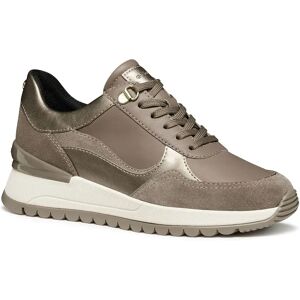 Geox Desya Trainers Taupe / Sand UK 3 Women Geox Desya Trainers Taupe / Sand UK 3 Women