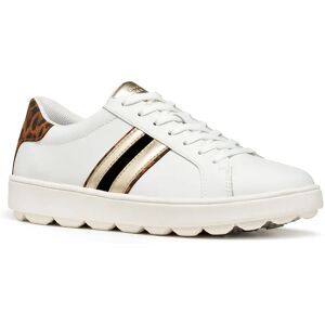 Geox Spherica Ecub-1 Trainers White / Cognac UK 6 Women Geox Spherica Ecub-1 Trainers White / Cognac UK 6 Women