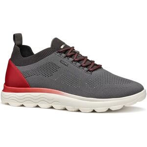 Geox Spherica E Trainers Dark Grey / Red UK 6.5 Men Geox Spherica E Trainers Dark Grey / Red UK 6.5 Men
