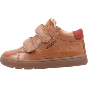 Geox Biglia Trainers Cognac UK 3.5 Boys Geox Biglia Trainers Cognac UK 3.5 Boys