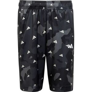 adidas Tr-es Aop Shorts Gresix 9-10 Years Boys,Girls adidas Tr-es Aop Shorts Gresix 9-10 Years Boys,Girls