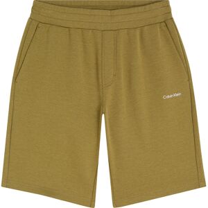 Calvin Klein Micro Logo Repreve Shorts Lizard S Men