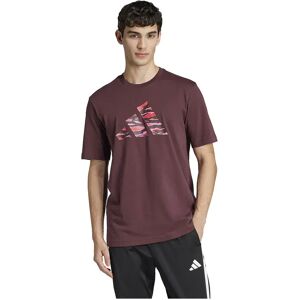 adidas Codes Camo Graphic Short Sleeve T-shirt Aurora Ruby 2XL Men adidas Codes Camo Graphic Short Sleeve T-shirt Aurora Ruby 2XL Men
