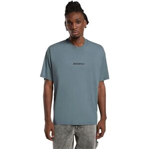 Dickies Enterprise Short Sleeve T-shirt Stormy Weather M Men Dickies Enterprise Short Sleeve T-shirt Stormy Weather M Men