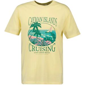 Gant Placed Graphic Short Sleeve T-shirt Dusty Light Yellow L Men Gant Placed Graphic Short Sleeve T-shirt Dusty Light Yellow L Men