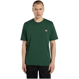 Dickies Mapleton Short Sleeve T-shirt Pine Needle Green M Men Dickies Mapleton Short Sleeve T-shirt Pine Needle Green M Men