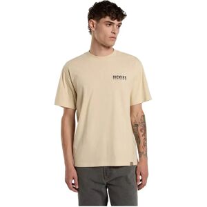 Dickies Pelham Short Sleeve T-shirt Wood Ash XL Men Dickies Pelham Short Sleeve T-shirt Wood Ash XL Men