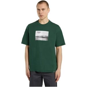 Dickies Sevier Short Sleeve T-shirt Pine Needle Green L Men Dickies Sevier Short Sleeve T-shirt Pine Needle Green L Men