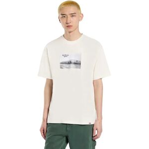 Dickies Sevier Short Sleeve T-shirt Egret M Men Dickies Sevier Short Sleeve T-shirt Egret M Men
