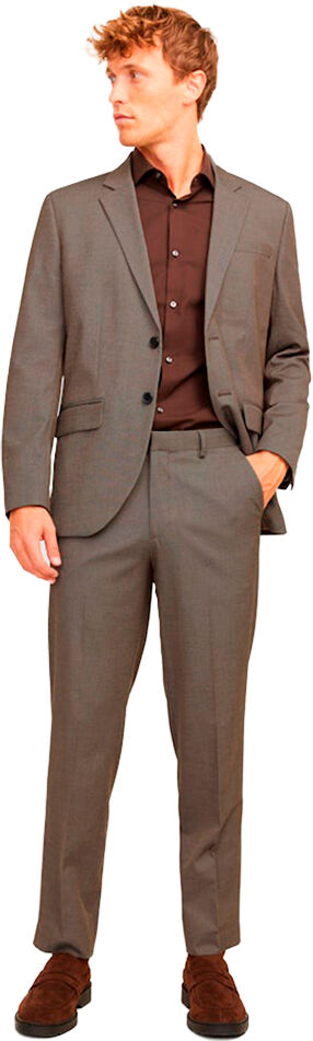Jack & Jones Bushwick Mathew Regular Suit Greige / Regular Fit 54 Men