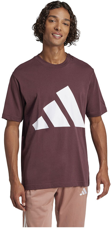 adidas Essentials Big Logo Short Sleeve T-shirt Aurora Ruby / White M Men