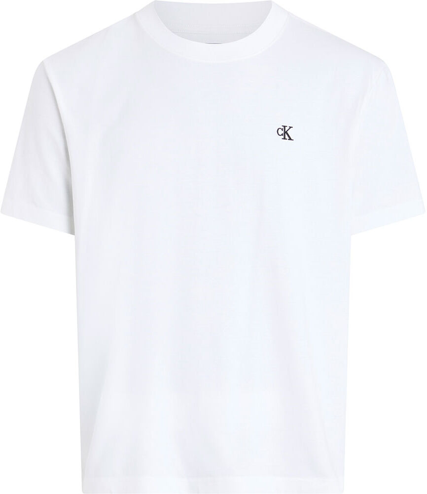 Calvin Klein Jeans Serif Font Graphic Short Sleeve T-shirt Bright White S Men