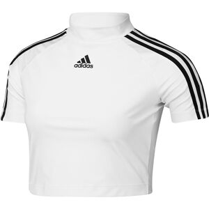 adidas Originals Teamgeist Adicolor Baby Short Sleeve T-shirt White XS Women