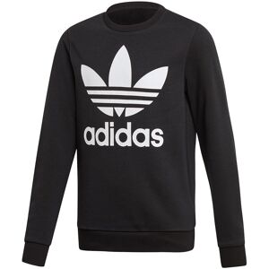adidas Originals Trefoil Crew Sweatshirt Black / White 7-8 Years Boys
