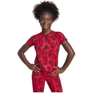 adidas Future Icons Allover Print Short Sleeve T-shirt Pure Ruby / Better Scarlet / Aurora Ruby / Black 7-8 Years Boys,Girls