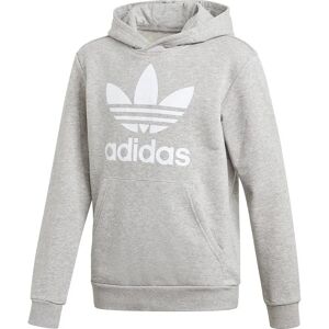 adidas Originals Trefoil Hoodie Medium Grey Heather / White 7-8 Years Boys,Girls adidas Originals Trefoil Hoodie Medium Grey Heather / White 7-8 Years Boys,Girls