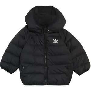adidas Originals Adicolor Down Jacket Black 0-3 Months Boys,Girls adidas Originals Adicolor Down Jacket Black 0-3 Months Boys,Girls