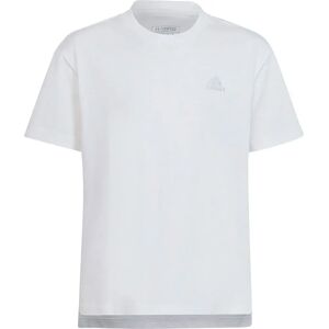 Adidas D Loose Short Sleeve T-shirt - T-shirt Adidas D Loose Short Sleeve T-shirt - T-shirt