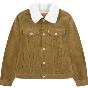 Levi´s ® Kids Corduroy Trucker Denim Jacket Brown 12 Years Boys Levi´s ® Kids Corduroy Trucker Denim Jacket Brown 12 Years Boys