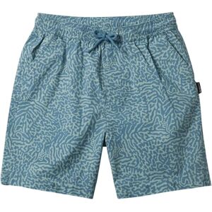 Quiksilver Taxer Shorts Cloud Blue Taxer Ws 14 Years Boys Quiksilver Taxer Shorts Cloud Blue Taxer Ws 14 Years Boys