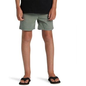 Quiksilver Taxer Shorts Sea Spray 14 Years Boys Quiksilver Taxer Shorts Sea Spray 14 Years Boys