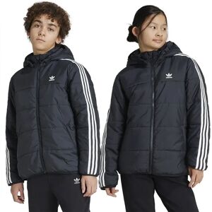 adidas Originals Adicolor Padded Jacket Black 7-8 Years Boys,Girls adidas Originals Adicolor Padded Jacket Black 7-8 Years Boys,Girls