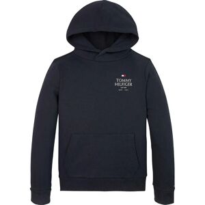 Tommy Hilfiger Kids Logo Puff Print Hoodie Desert Sky 10 Years Boys Tommy Hilfiger Kids Logo Puff Print Hoodie Desert Sky 10 Years Boys