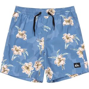 Quiksilver Everyday Straight Volley14 Swimming Shorts Backyards Coronet Blue / Blq7 10 Years Boys Quiksilver Everyday Straight Volley14 Swimming Shorts Backyards Coronet Blue / Blq7 10 Years Boys