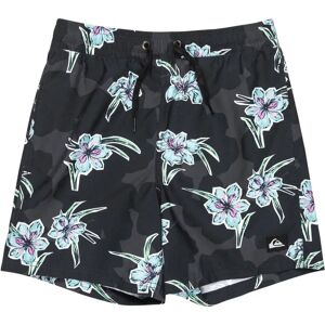 Quiksilver Everyday Straight Volley14 Swimming Shorts Backyards Black / Kvj7 14 Years Boys Quiksilver Everyday Straight Volley14 Swimming Shorts Backyards Black / Kvj7 14 Years Boys