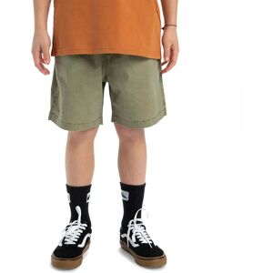 Quiksilver Taxer Shorts Aloe 14 Years Boys Quiksilver Taxer Shorts Aloe 14 Years Boys