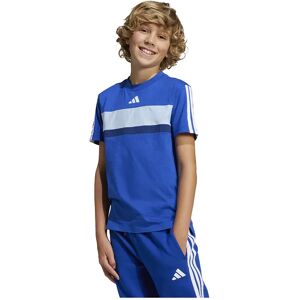 adidas Seasonal Essentials Tiberio 3 Stripes Short Sleeve T-shirt Team Royal Blue / Core White 11-12 Years Boys,Girls adidas Seasonal Essentials Tiberio 3 Stripes Short Sleeve T-shirt Team Royal Blue / Core White 11-12 Years Boys,Girls