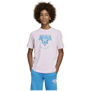 adidas Originals Jc5862 Short Sleeve T-shirt Clear Pink 13-14 Years Boys,Girls adidas Originals Jc5862 Short Sleeve T-shirt Clear Pink 13-14 Years Boys,Girls