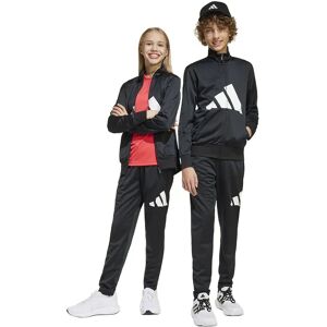 adidas Essentials Big Logo Climacool Tracksuit Black / White 11-12 Years Boys,Girls adidas Essentials Big Logo Climacool Tracksuit Black / White 11-12 Years Boys,Girls