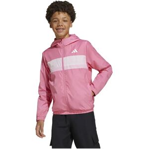 adidas Tiberio Jacket Pink Fusion / Clear Pink / True Pink / White 13-14 Years Boys,Girls adidas Tiberio Jacket Pink Fusion / Clear Pink / True Pink / White 13-14 Years Boys,Girls