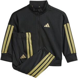 adidas Essentials Climacool Tracksuit Black / Gold Met. 12-18 Months Boys,Girls adidas Essentials Climacool Tracksuit Black / Gold Met. 12-18 Months Boys,Girls