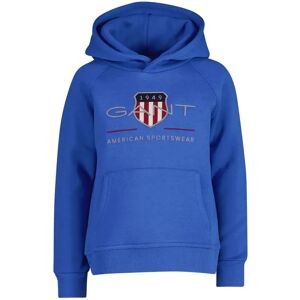 Gant 806784 Hoodie Greece Blue 4-6 Years Boys,Girls Gant 806784 Hoodie Greece Blue 4-6 Years Boys,Girls