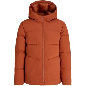 Jack & Jones Global Padded Jacket Picante 10 Years Boys Jack & Jones Global Padded Jacket Picante 10 Years Boys