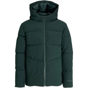 Jack & Jones Global Padded Jacket Scarab 10 Years Boys Jack & Jones Global Padded Jacket Scarab 10 Years Boys