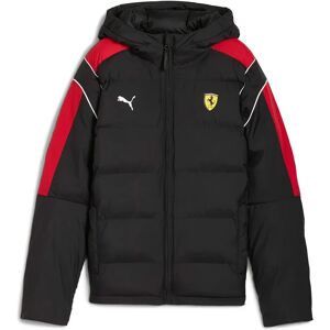 Ferrari Sportswear Kids Mt7 Ecolite Padded Jacket PUMA Black 15-16 Years Boys,Girls Ferrari Sportswear Kids Mt7 Ecolite Padded Jacket PUMA Black 15-16 Years Boys,Girls