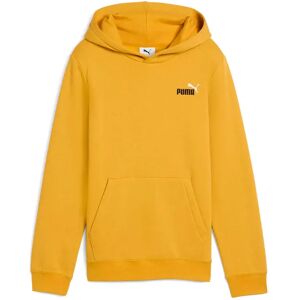 Puma Ess 2 Color Small Nº 1 Logo Hoodie Archive Gold 13-14 Years Boys,Girls Puma Ess 2 Color Small Nº 1 Logo Hoodie Archive Gold 13-14 Years Boys,Girls