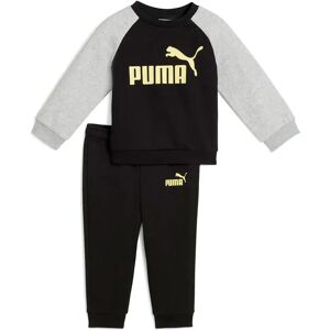 Puma Minicats Ess Raglan Tracksuit Black / Gold Moon 24 Months-3 Years Boys,Girls Puma Minicats Ess Raglan Tracksuit Black / Gold Moon 24 Months-3 Years Boys,Girls
