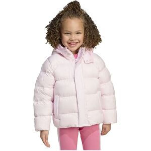 adidas Originals Jv8547 Down Jacket Clear Pink / White 7-8 Years Boys,Girls adidas Originals Jv8547 Down Jacket Clear Pink / White 7-8 Years Boys,Girls