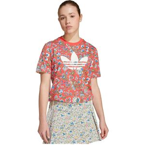 adidas Originals X Liberty London Short Sleeve T-shirt Semi Lucid Red / Multicolor 13-14 Years Boys,Girls adidas Originals X Liberty London Short Sleeve T-shirt Semi Lucid Red / Multicolor 13-14 Years Boys,Girls