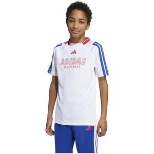 adidas House Of Tiro Short Sleeve T-shirt White / Semi Lucid Blue / Pure Ruby 11-12 Years Boys,Girls adidas House Of Tiro Short Sleeve T-shirt White / Semi Lucid Blue / Pure Ruby 11-12 Years Boys,Girls