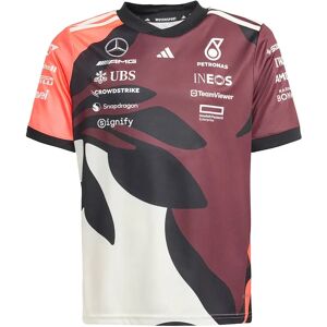 adidas Mercedes-amg Petronas Formula One Team Driver Replica Summer Pack Short Sleeve T-shirt Aurora Ruby / Turbo / Off White 13-14 Years Boys,Girls adidas Mercedes-amg Petronas Formula One Team Driver Replica Summer Pack Short Sleeve T-shirt Aurora Ruby / Turbo / Off White 13-14 Years Boys,Girls