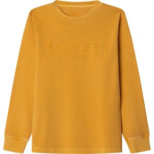 Hackett Logo Long Sleeve T-shirt Ochre Yellow 11 Years Boys Hackett Logo Long Sleeve T-shirt Ochre Yellow 11 Years Boys